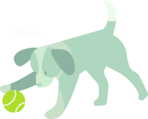 Eläinlääkäri Lexavet Helsinki