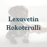 Eläinlääkäri Lexavet Helsinki
