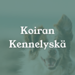 koiran kennelyskä