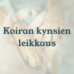 Eläinlääkäri Lexavet Helsinki