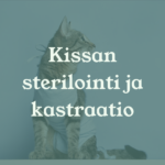 Eläinlääkäri Lexavet Helsinki