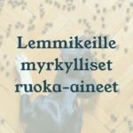 Eläinlääkäri Lexavet Helsinki