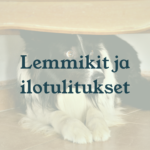 Eläinlääkäri Lexavet Helsinki