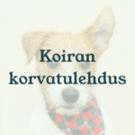 Eläinlääkäri Lexavet Helsinki