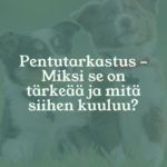 Eläinlääkäri Lexavet Helsinki