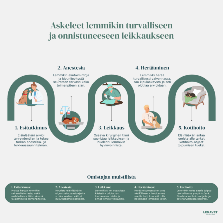 Lemmikin leikkaus ja omistajan rooli toimenpiteen aikana ja sen jälkeen