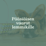 Pääsiäinen lemmikkitaloudessa – näin vältät yleisimmät vaarat