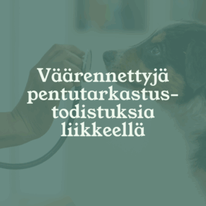 Eläinlääkäri Lexavet Helsinki