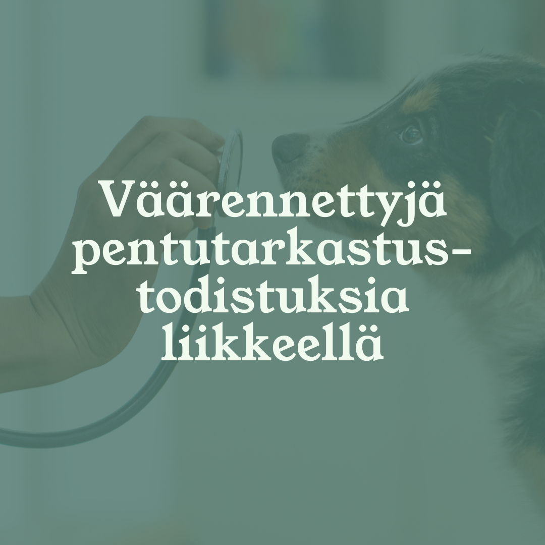 Eläinlääkäri Lexavet Helsinki