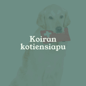 Eläinlääkäri Lexavet Helsinki