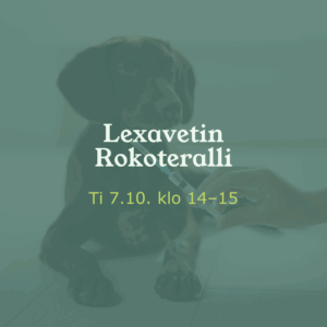 Eläinlääkäri Lexavet Helsinki