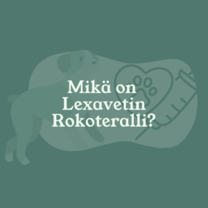 Eläinlääkäri Lexavet Helsinki