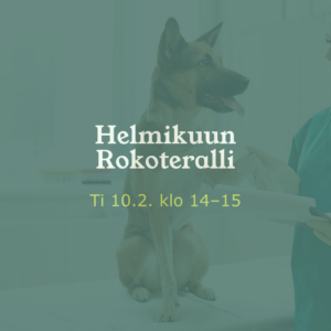rokotuskampanja eläinklinikka Lexavet Helsinki