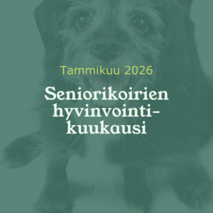 Eläinlääkäri Lexavet Helsinki